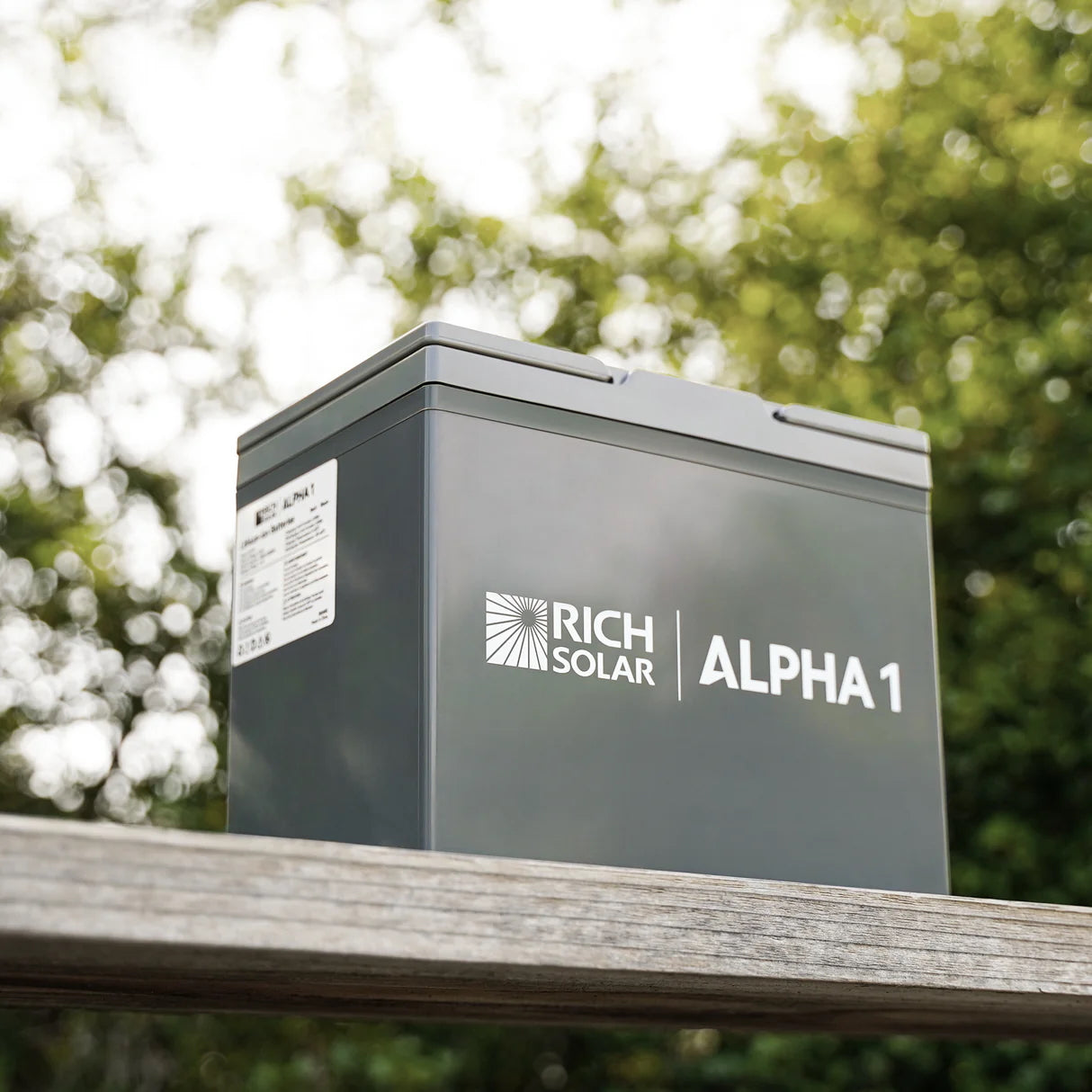 Rich Solar ALPHA 1 12V 100Ah LiFePO4 Battery